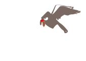 Juniorenverband des Deutschen Fleischerhandwerks e.V.